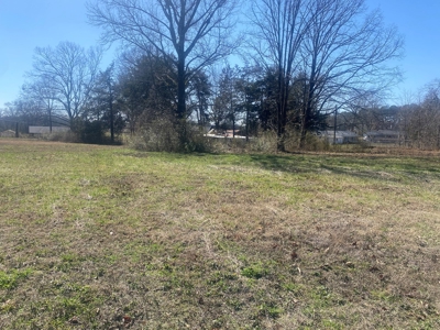 Commercial Land For Sale In Savannah Tn - image 4