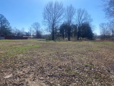 Commercial Land For Sale In Savannah Tn - image 2