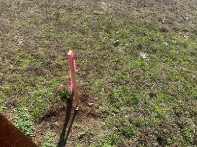 Commercial Land For Sale In Savannah Tn - image 5