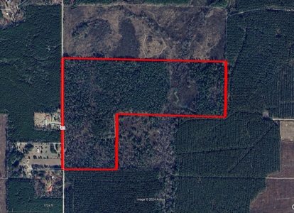 Ashley County Timberland for Sale!! - image 1