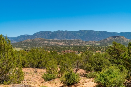 40 Acres Bordering Blm Great Views  Minutes To Canon City Co - image 7