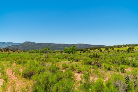 40 Acres Bordering Blm Great Views  Minutes To Canon City Co - image 2
