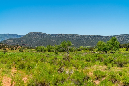 40 Acres Bordering Blm Great Views  Minutes To Canon City Co - image 3