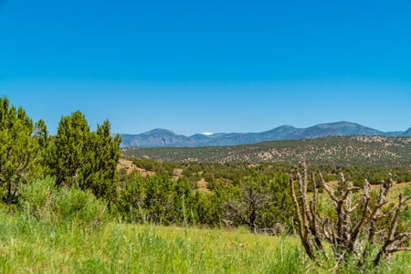 40 Acres Bordering Blm Great Views  Minutes To Canon City Co - image 12