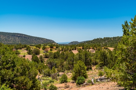 40 Acres Bordering Blm Great Views  Minutes To Canon City Co - image 8
