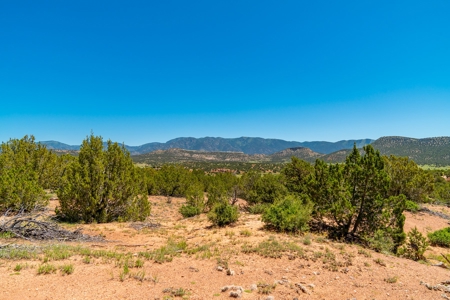 40 Acres Bordering Blm Great Views  Minutes To Canon City Co - image 6
