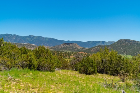 40 Acres Bordering Blm Great Views  Minutes To Canon City Co - image 10