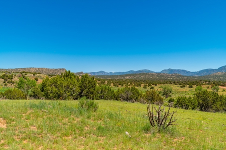 40 Acres Bordering Blm Great Views  Minutes To Canon City Co - image 13