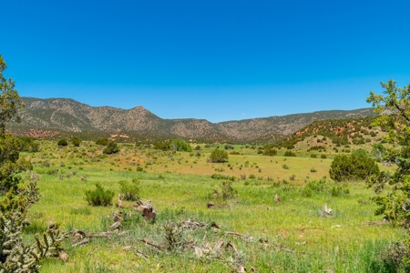 40 Acres Bordering Blm Great Views  Minutes To Canon City Co - image 11