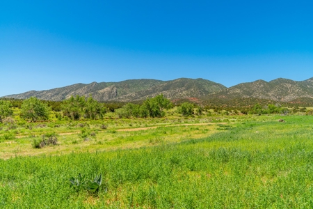 40 Acres Bordering Blm Great Views  Minutes To Canon City Co - image 4