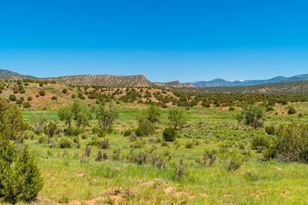 40 Acres Bordering Blm Great Views  Minutes To Canon City Co - image 19