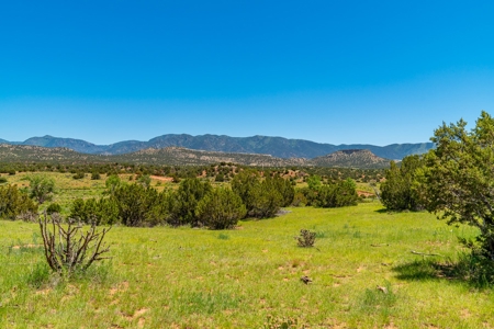 40 Acres Bordering Blm Great Views  Minutes To Canon City Co - image 14