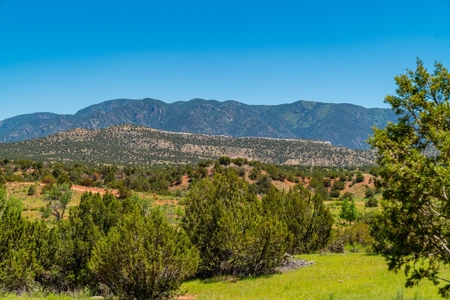 40 Acres Bordering Blm Great Views  Minutes To Canon City Co - image 15