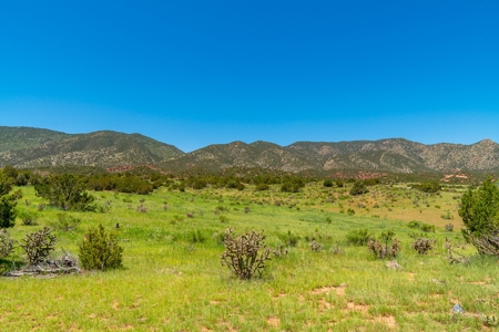 40 Acres Bordering Blm Great Views  Minutes To Canon City Co - image 16