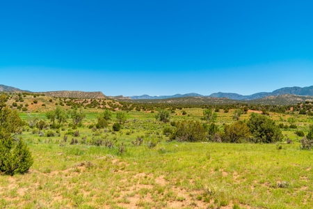 40 Acres Bordering Blm Great Views  Minutes To Canon City Co - image 18