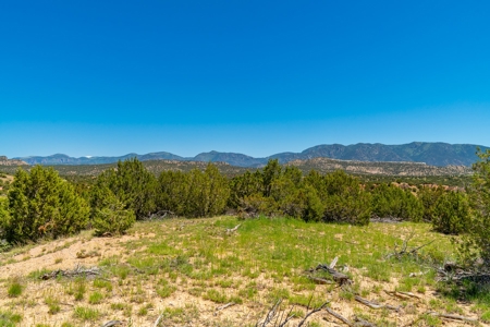 40 Acres Bordering Blm Great Views  Minutes To Canon City Co - image 9