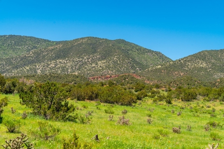 40 Acres Bordering Blm Great Views  Minutes To Canon City Co - image 17