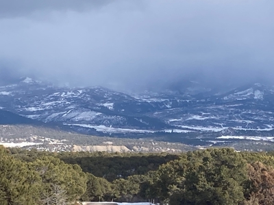 Snowberry Lane: Tranquil Escape in Pinyons on Log Hill - image 8