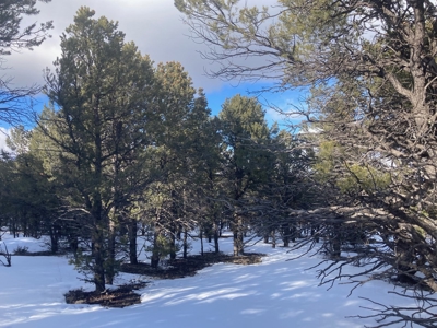 Snowberry Lane: Tranquil Escape in Pinyons on Log Hill - image 6