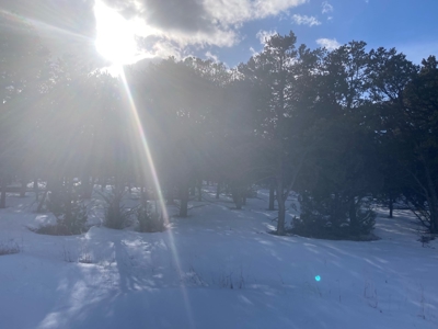 Snowberry Lane: Tranquil Escape in Pinyons on Log Hill - image 4