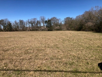 Prime Commerical Property In Maurice, La - image 1