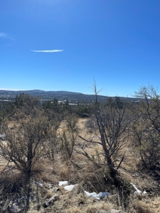Magnificent Views - image 5