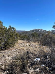 Magnificent Views - image 3