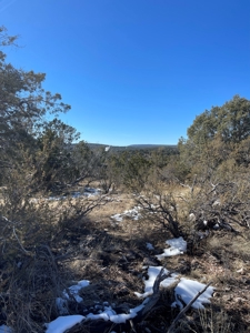 Magnificent Views - image 7