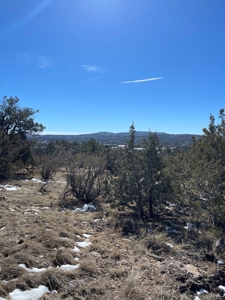 Magnificent Views - image 1
