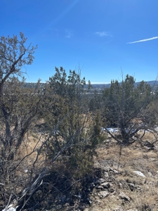 Magnificent Views - image 4