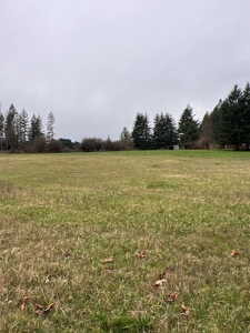 Development Land For Sale in Rochester, WA - image 4