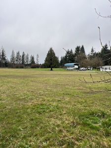 Development Land For Sale in Rochester, WA - image 2
