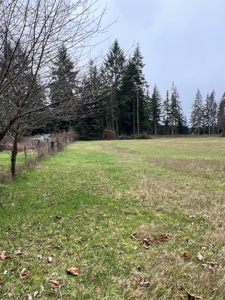 Development Land For Sale in Rochester, WA - image 5