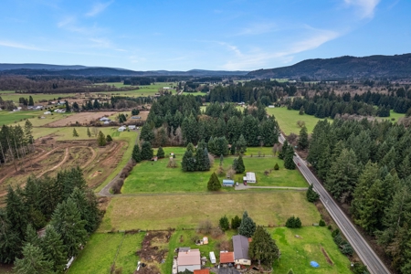 Development Land For Sale in Rochester, WA - image 9