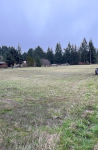 Development Land For Sale in Rochester, WA - image 3