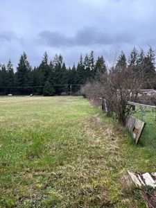 Development Land For Sale in Rochester, WA - image 1