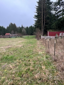 Development Land For Sale in Rochester, WA - image 6