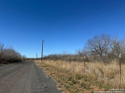 Land with Pond For Sale in Jourdanton, Texas! - image 6