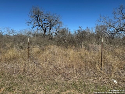 Land with Pond For Sale in Jourdanton, Texas! - image 5