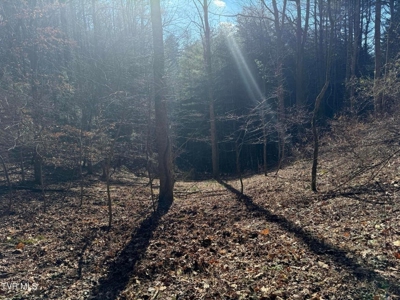 32.08 Acres For Sale in Unicoi County, Tennessee - image 45