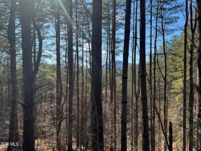 32.08 Acres For Sale in Unicoi County, Tennessee - image 34