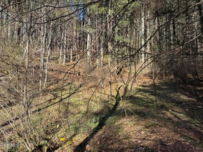 32.08 Acres For Sale in Unicoi County, Tennessee - image 43
