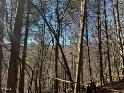 32.08 Acres For Sale in Unicoi County, Tennessee - image 7