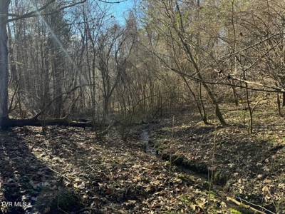 32.08 Acres For Sale in Unicoi County, Tennessee - image 37