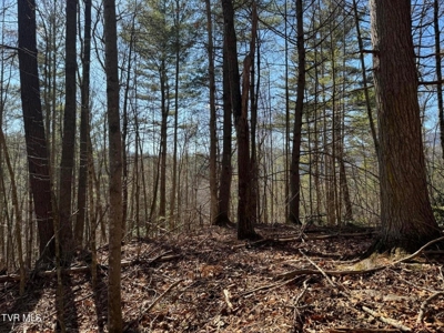 32.08 Acres For Sale in Unicoi County, Tennessee - image 14