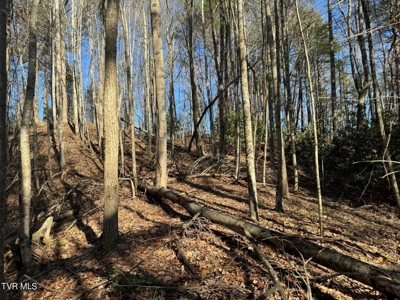 32.08 Acres For Sale in Unicoi County, Tennessee - image 29