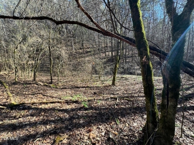 32.08 Acres For Sale in Unicoi County, Tennessee - image 42