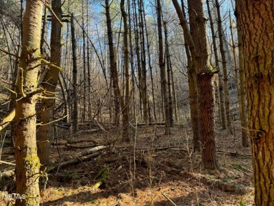 32.08 Acres For Sale in Unicoi County, Tennessee - image 47