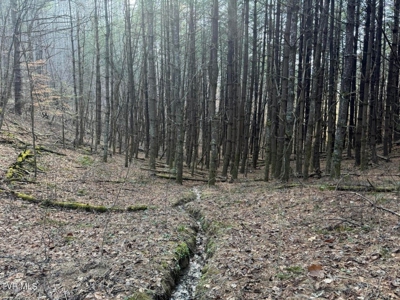 32.08 Acres For Sale in Unicoi County, Tennessee - image 39