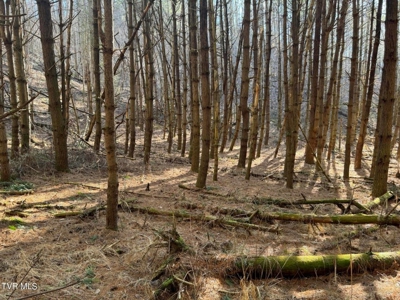 32.08 Acres For Sale in Unicoi County, Tennessee - image 49